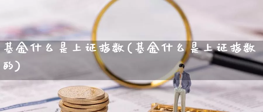 基金什么是上证指数(基金什么是上证指数的)_https://www.zzcnk.com_基金_第1张