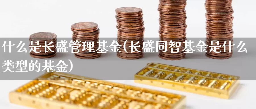 什么是长盛管理基金(长盛同智基金是什么类型的基金)_https://www.zzcnk.com_基金_第1张