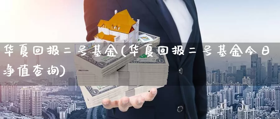华夏回报二号基金(华夏回报二号基金今日净值查询)_https://www.zzcnk.com_理财_第1张