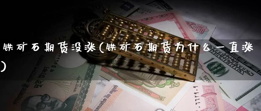 铁矿石期货没涨(铁矿石期货为什么一直涨)_https://www.zzcnk.com_纳指期货_第1张
