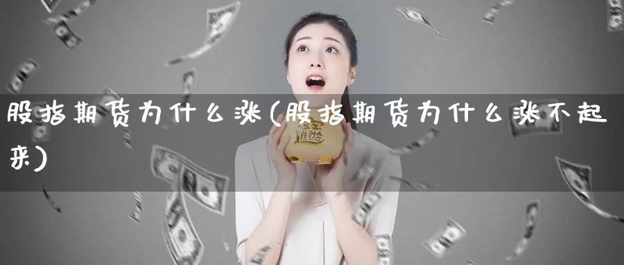 股指期货为什么涨(股指期货为什么涨不起来)_https://www.zzcnk.com_纳指期货_第1张