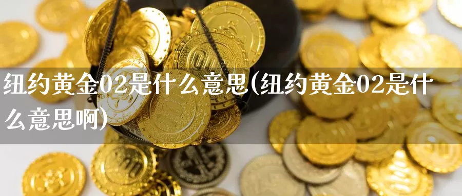 纽约黄金02是什么意思(纽约黄金02是什么意思啊)_https://www.zzcnk.com_期货百科_第1张