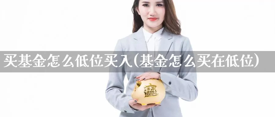 买基金怎么低位买入(基金怎么买在低位)_https://www.zzcnk.com_基金_第1张