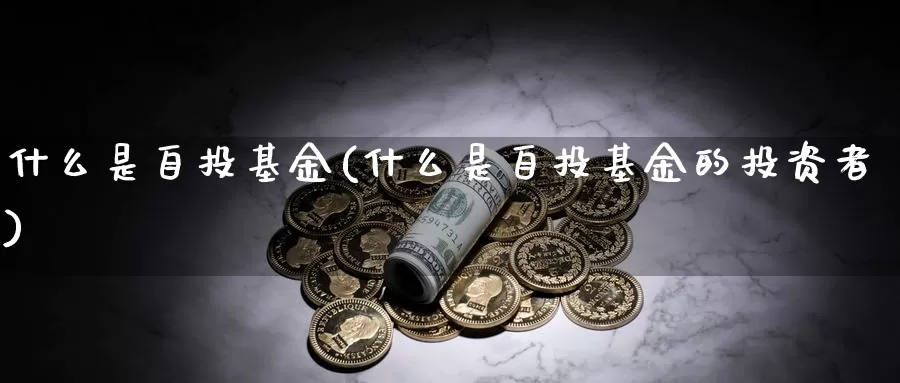 什么是自投基金(什么是自投基金的投资者)_https://www.zzcnk.com_基金_第1张