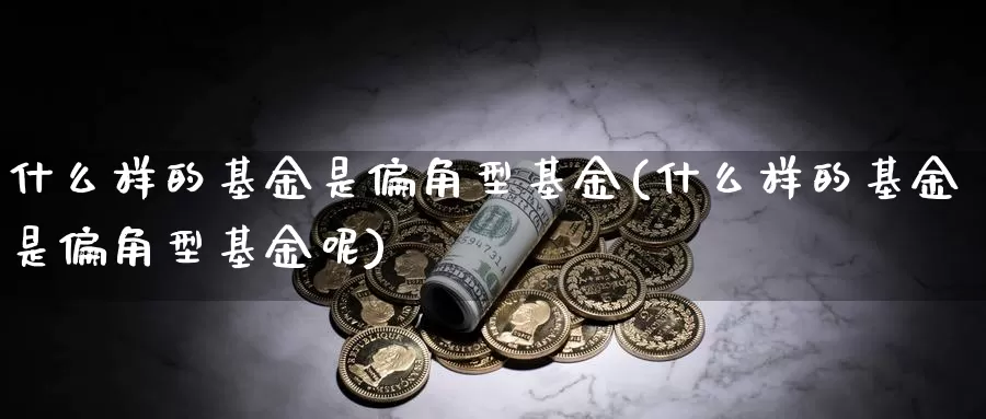 什么样的基金是偏角型基金(什么样的基金是偏角型基金呢)_https://www.zzcnk.com_基金_第1张