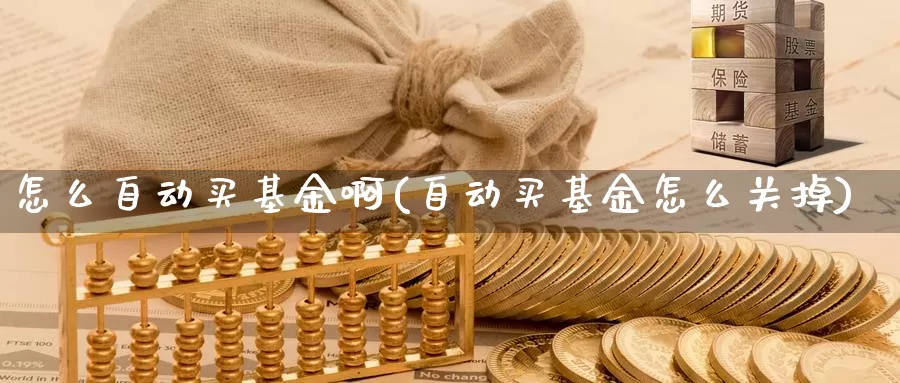 怎么自动买基金啊(自动买基金怎么关掉)_https://www.zzcnk.com_基金_第1张