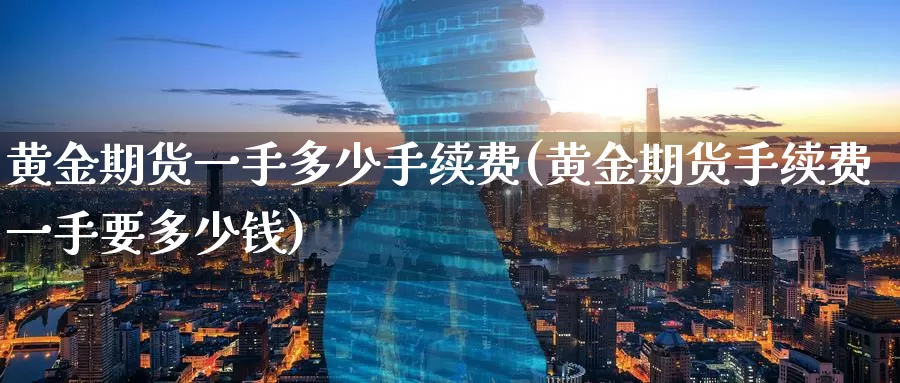 黄金期货一手多少手续费(黄金期货手续费一手要多少钱)_https://www.zzcnk.com_内盘期货_第1张