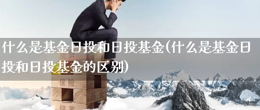 什么是基金日投和日投基金(什么是基金日投和日投基金的区别)_https://www.zzcnk.com_基金_第1张