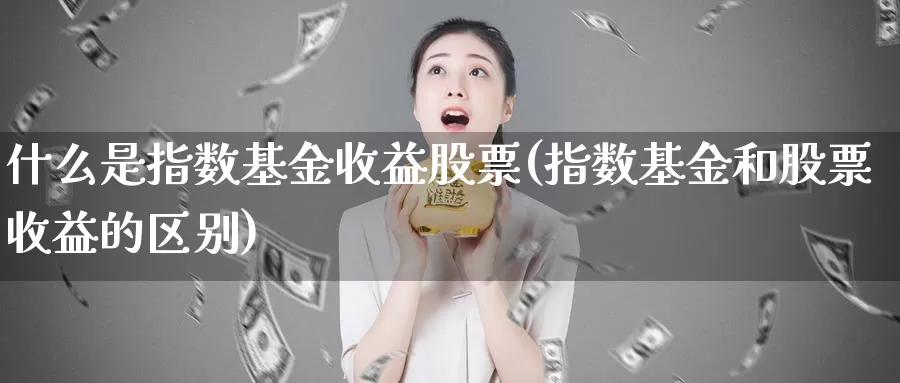 什么是指数基金收益股票(指数基金和股票收益的区别)_https://www.zzcnk.com_基金_第1张