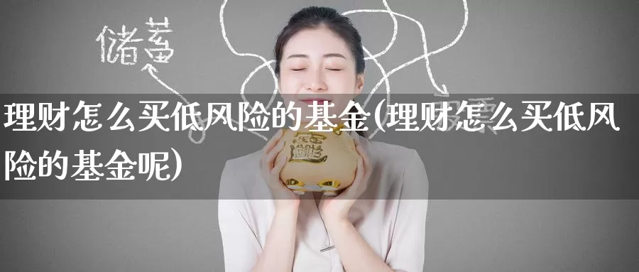 理财怎么买低风险的基金(理财怎么买低风险的基金呢)_https://www.zzcnk.com_基金_第1张