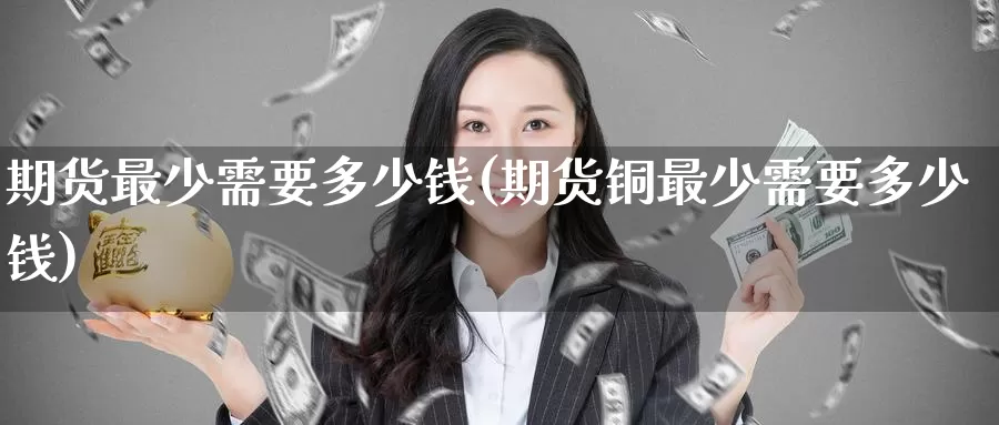 期货最少需要多少钱(期货铜最少需要多少钱)_https://www.zzcnk.com_期货直播_第1张