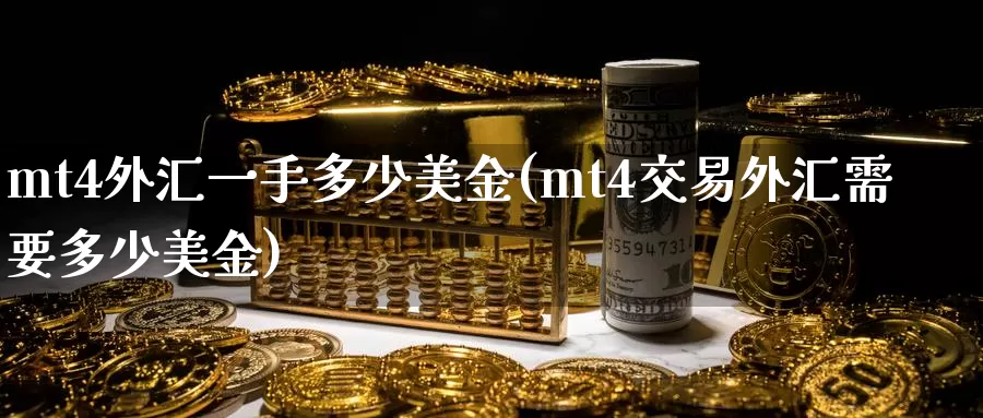 mt4外汇一手多少美金(mt4交易外汇需要多少美金)_https://www.zzcnk.com_股指期货_第1张