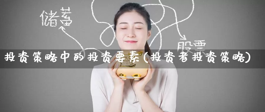 投资策略中的投资要素(投资者投资策略)_https://www.zzcnk.com_期货直播_第1张