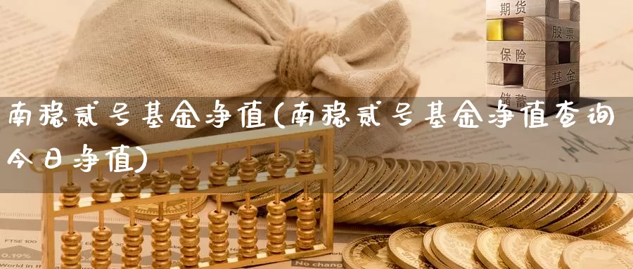 南稳贰号基金净值(南稳贰号基金净值查询今日净值)_https://www.zzcnk.com_财经_第1张