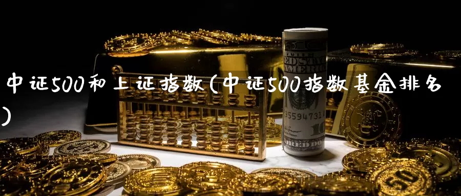 中证500和上证指数(中证500指数基金排名)_https://www.zzcnk.com_期货直播_第1张