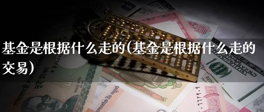 基金是根据什么走的(基金是根据什么走的交易)_https://www.zzcnk.com_基金_第1张