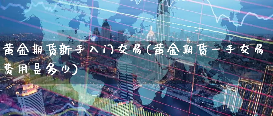 黄金期货新手入门交易(黄金期货一手交易费用是多少)_https://www.zzcnk.com_期货直播_第1张