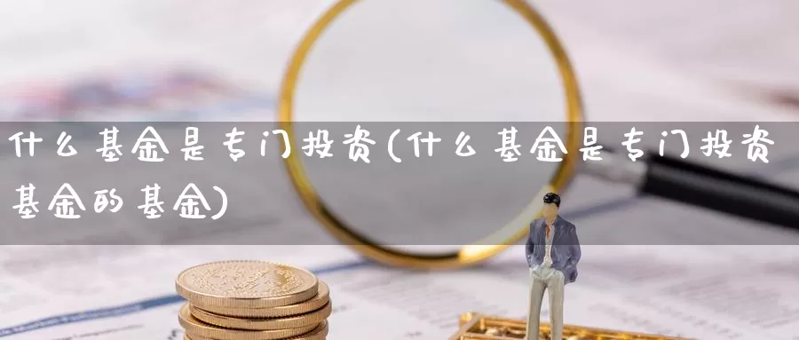 什么基金是专门投资(什么基金是专门投资基金的基金)_https://www.zzcnk.com_基金_第1张