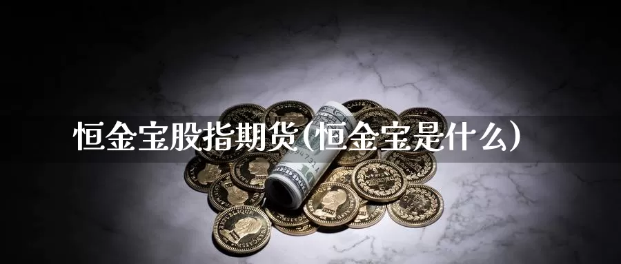 恒金宝股指期货(恒金宝是什么)_https://www.zzcnk.com_纳指期货_第1张
