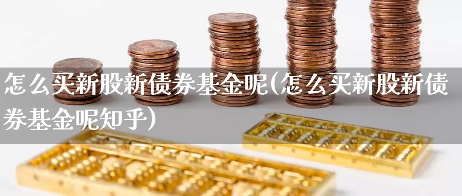 怎么买新股新债券基金呢(怎么买新股新债券基金呢知乎)_https://www.zzcnk.com_基金_第1张