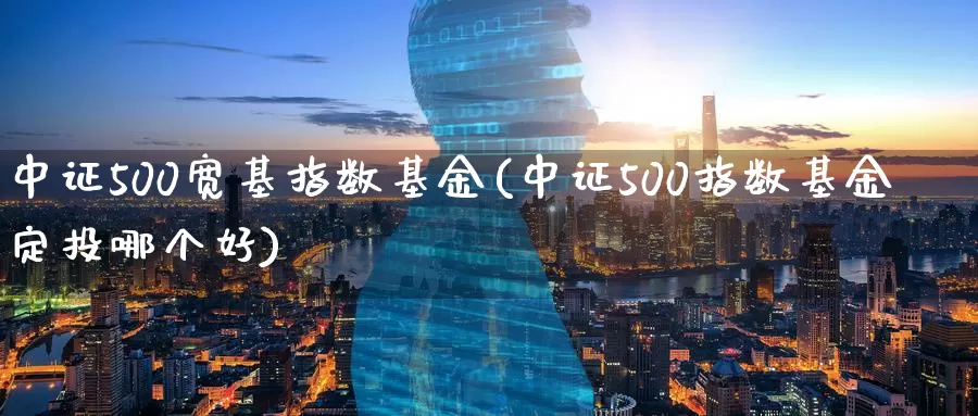 中证500宽基指数基金(中证500指数基金定投哪个好)_https://www.zzcnk.com_股指期货_第1张