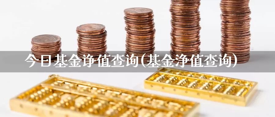 今日基金诤值查询(基金浄值查询)_https://www.zzcnk.com_股票_第1张
