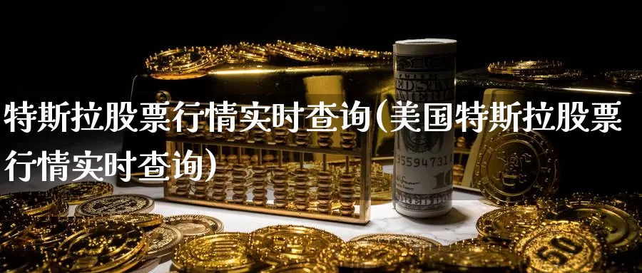 特斯拉股票行情实时查询(美国特斯拉股票行情实时查询)_https://www.zzcnk.com_股指期货_第1张