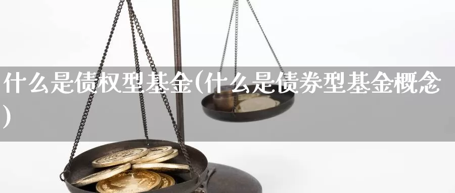 什么是债权型基金(什么是债券型基金概念)_https://www.zzcnk.com_基金_第1张