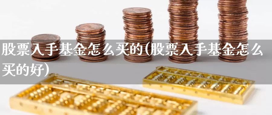 股票入手基金怎么买的(股票入手基金怎么买的好)_https://www.zzcnk.com_基金_第1张
