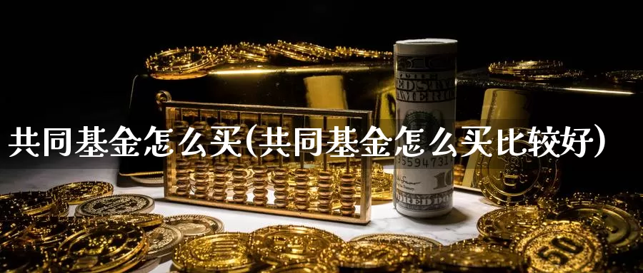 共同基金怎么买(共同基金怎么买比较好)_https://www.zzcnk.com_基金_第1张