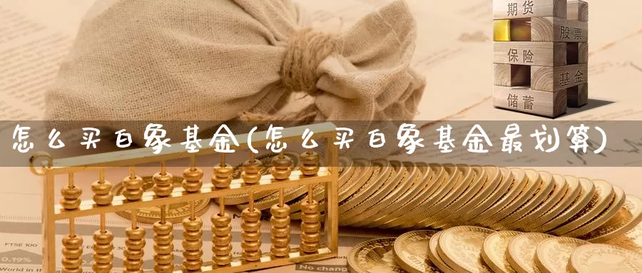 怎么买白象基金(怎么买白象基金最划算)_https://www.zzcnk.com_基金_第1张
