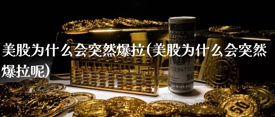 美股为什么会突然爆拉(美股为什么会突然爆拉呢)_https://www.zzcnk.com_理财_第1张