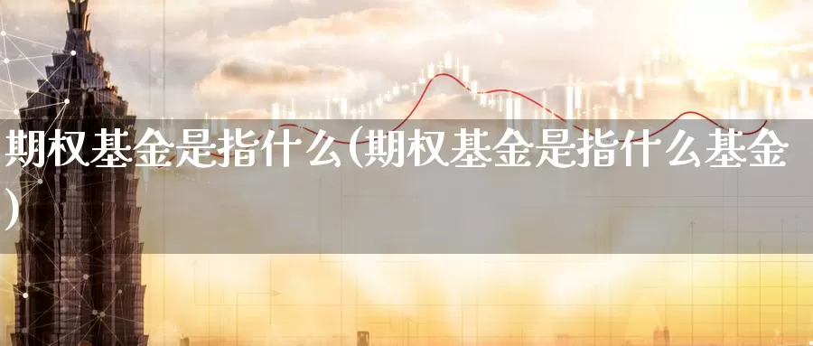 期权基金是指什么(期权基金是指什么基金)_https://www.zzcnk.com_基金_第1张