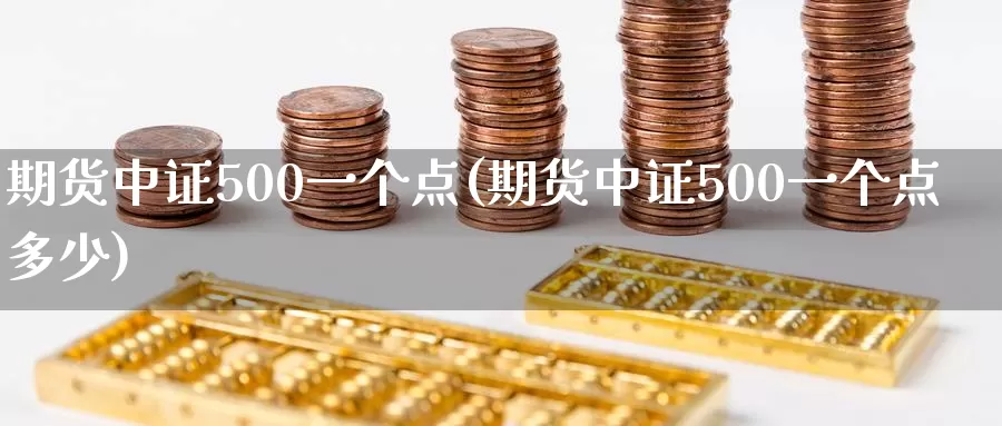 期货中证500一个点(期货中证500一个点多少)_https://www.zzcnk.com_期货直播_第1张
