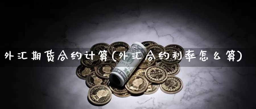 外汇期货合约计算(外汇合约利率怎么算)_https://www.zzcnk.com_股指期货_第1张