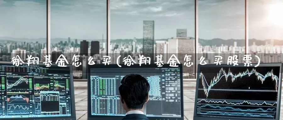 徐翔基金怎么买(徐翔基金怎么买股票)_https://www.zzcnk.com_基金_第1张