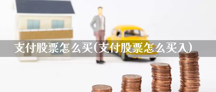 支付股票怎么买(支付股票怎么买入)_https://www.zzcnk.com_理财_第1张