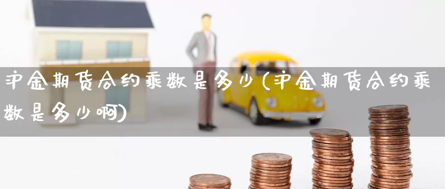 沪金期货合约乘数是多少(沪金期货合约乘数是多少啊)_https://www.zzcnk.com_原油期货_第1张