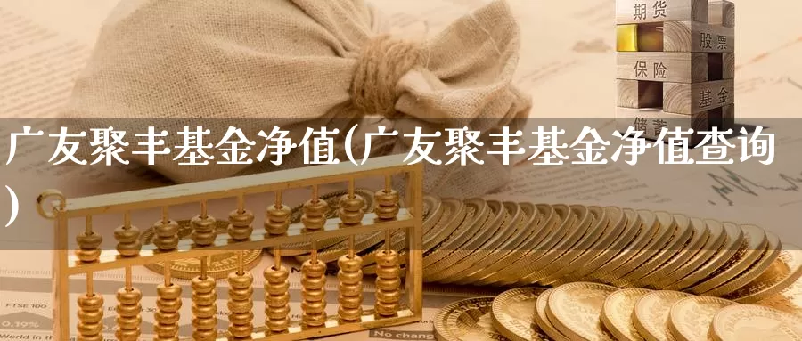 广友聚丰基金净值(广友聚丰基金净值查询)_https://www.zzcnk.com_期货_第1张