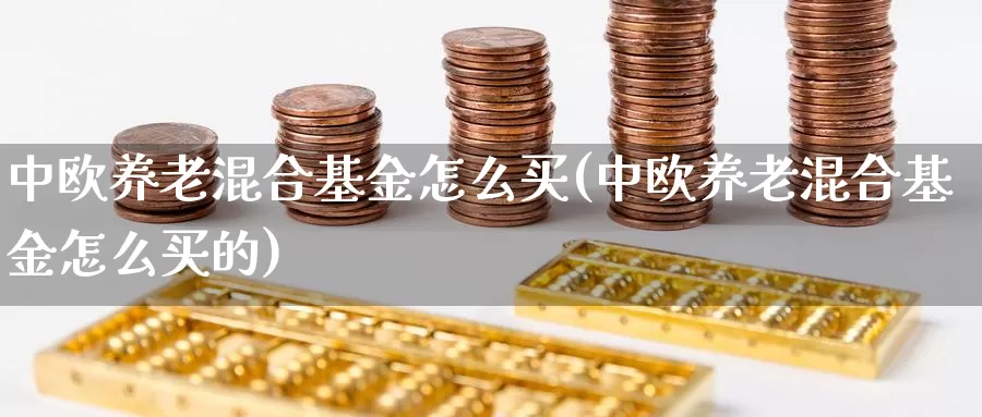 中欧养老混合基金怎么买(中欧养老混合基金怎么买的)_https://www.zzcnk.com_基金_第1张