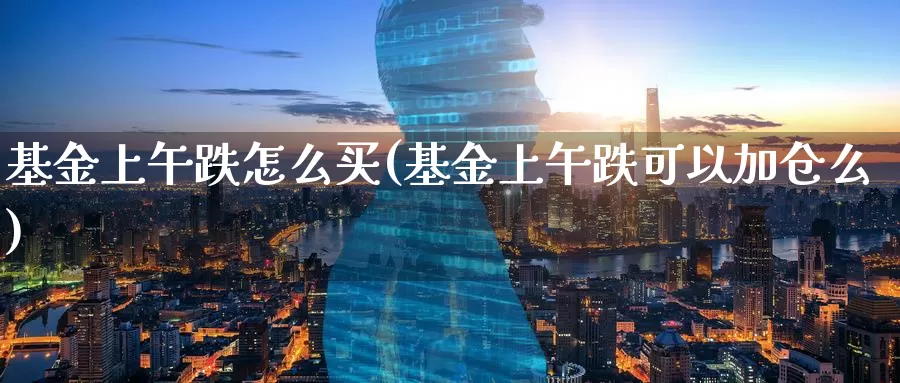 基金上午跌怎么买(基金上午跌可以加仓么)_https://www.zzcnk.com_基金_第1张