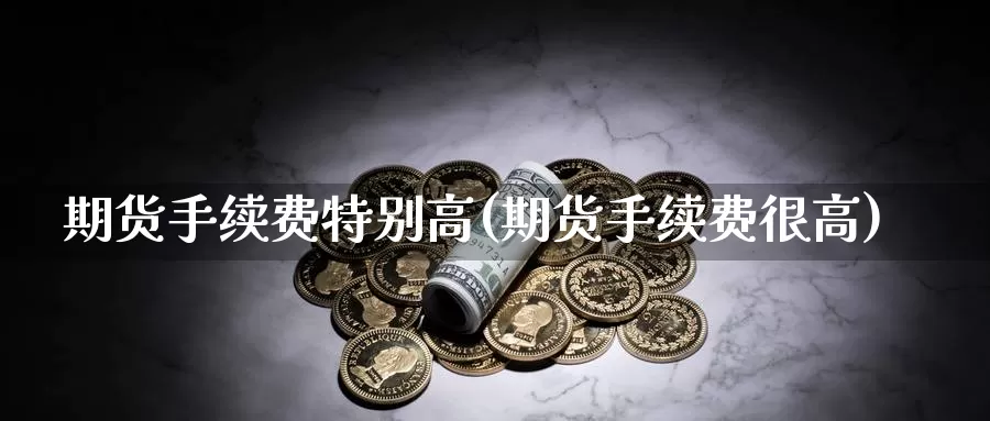 期货手续费特别高(期货手续费很高)_https://www.zzcnk.com_股指期货_第1张