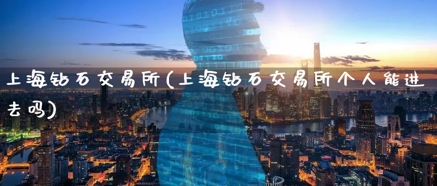 上海钻石交易所(上海钻石交易所个人能进去吗)_https://www.zzcnk.com_股指期货_第1张