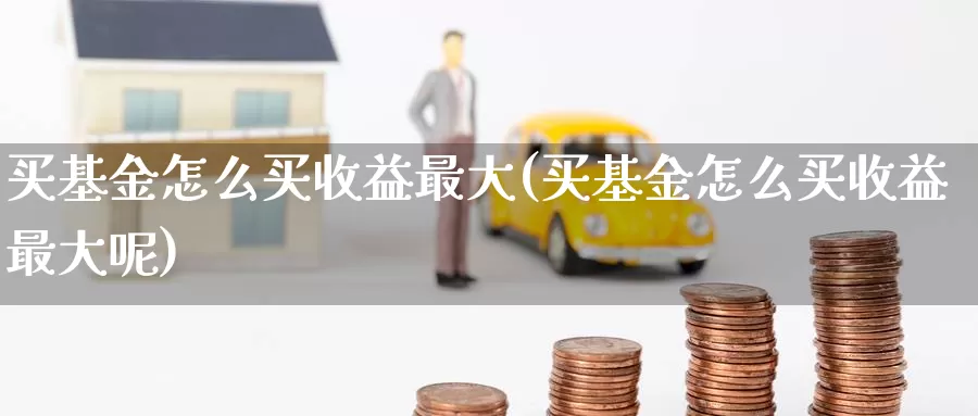 买基金怎么买收益最大(买基金怎么买收益最大呢)_https://www.zzcnk.com_基金_第1张