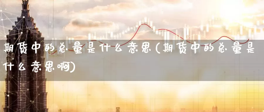 期货中的总量是什么意思(期货中的总量是什么意思啊)_https://www.zzcnk.com_期货直播_第1张
