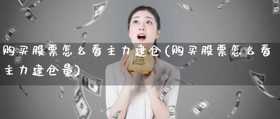 购买股票怎么看主力建仓(购买股票怎么看主力建仓量)_https://www.zzcnk.com_股票_第1张