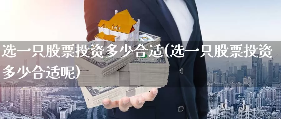 选一只股票投资多少合适(选一只股票投资多少合适呢)_https://www.zzcnk.com_股票_第1张