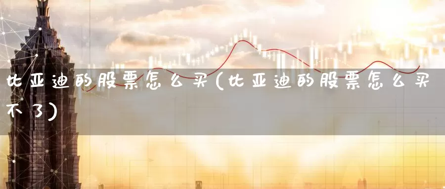 比亚迪的股票怎么买(比亚迪的股票怎么买不了)_https://www.zzcnk.com_股票_第1张