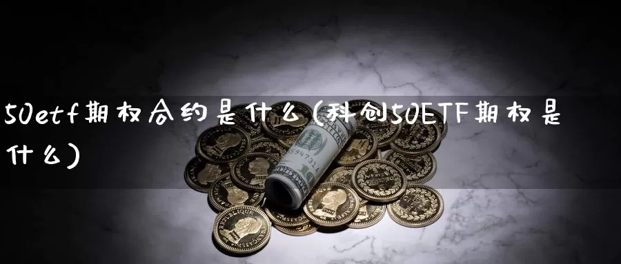 50etf期权合约是什么(科创50ETF期权是什么)_https://www.zzcnk.com_恒生指数_第1张