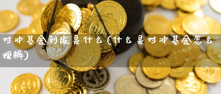 对冲基金到底是什么(什么是对冲基金怎么理解)_https://www.zzcnk.com_原油期货_第1张